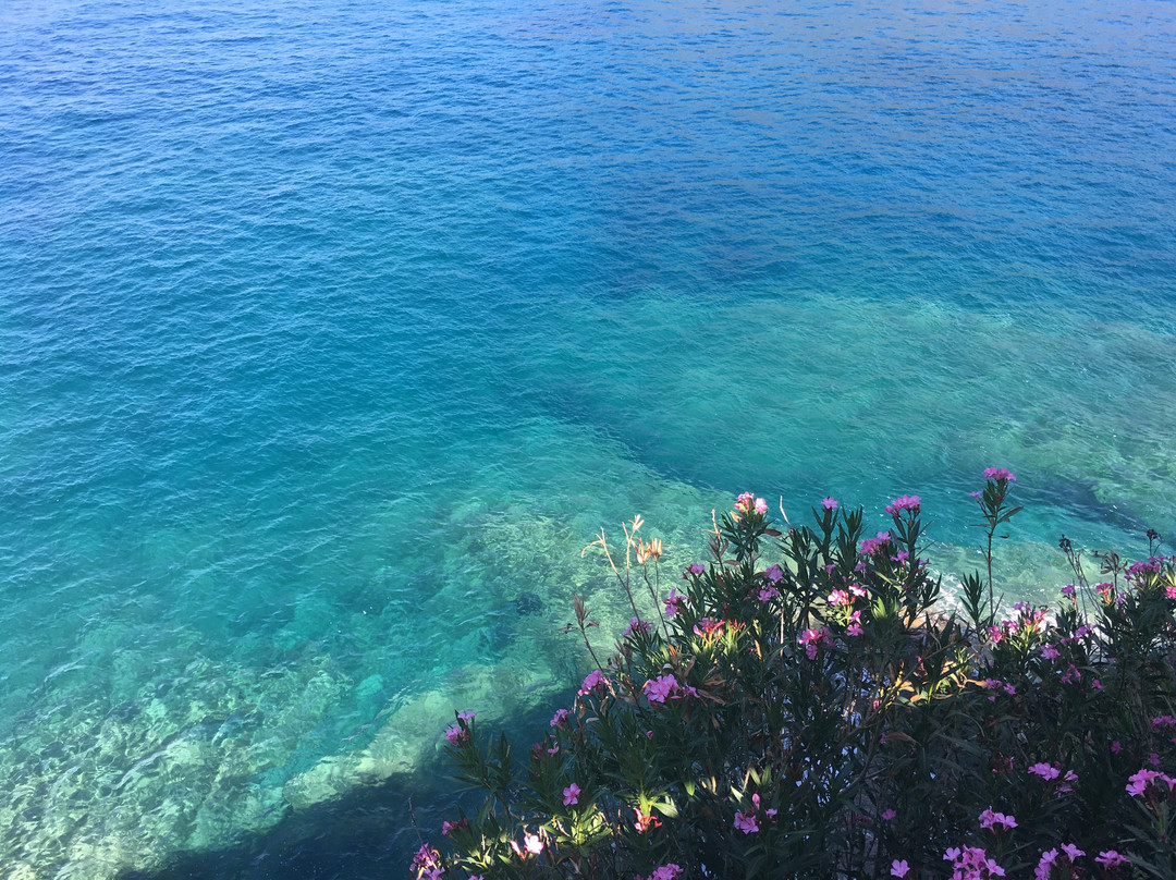 Sea View Apartments Cafe and Cocktail Bar主图