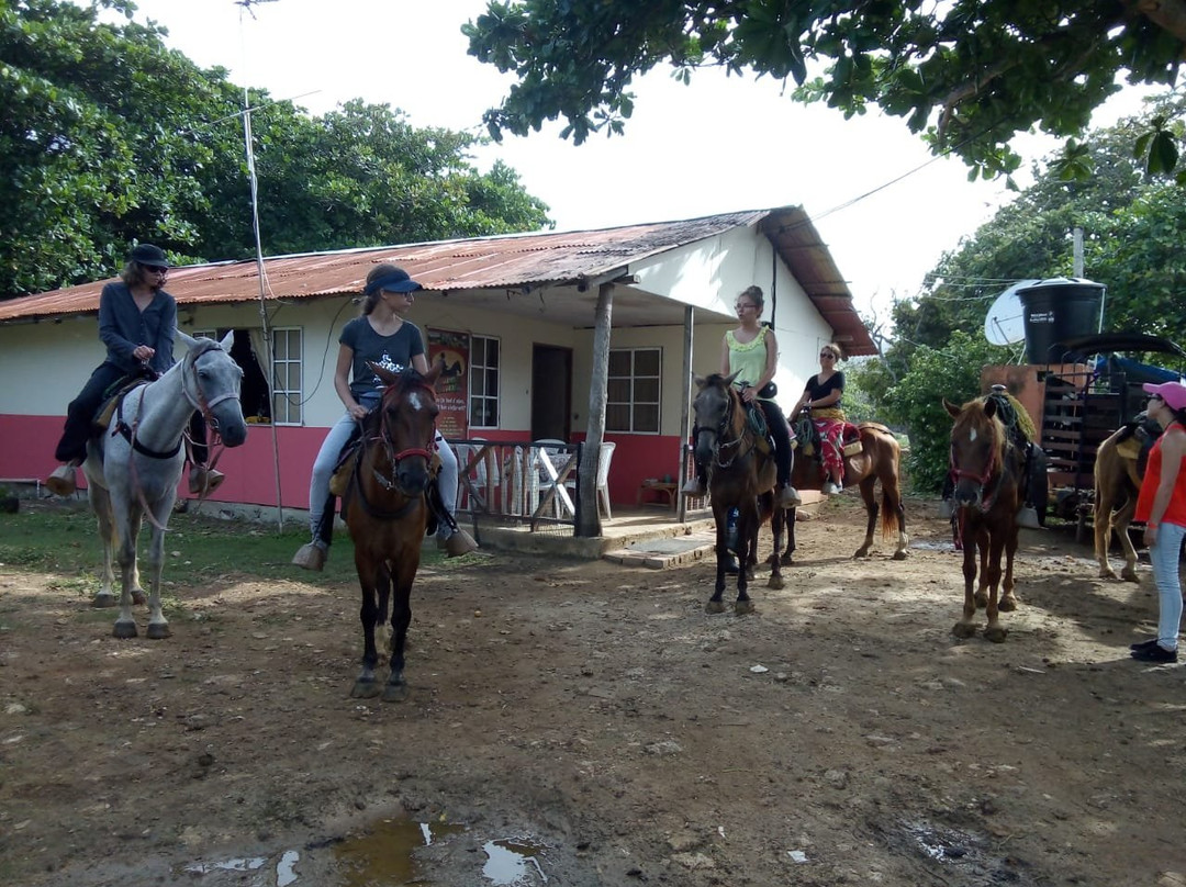 Native Horses-San Luis必去景点