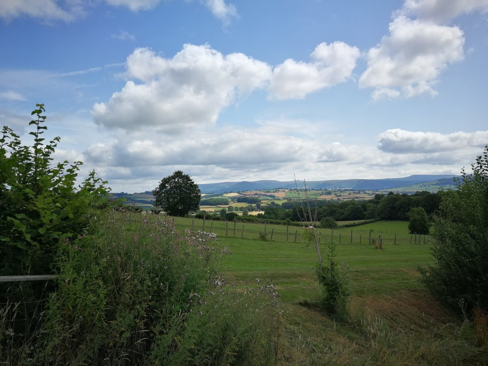 Cantref Adventure Farm and Riding Centre景点图片