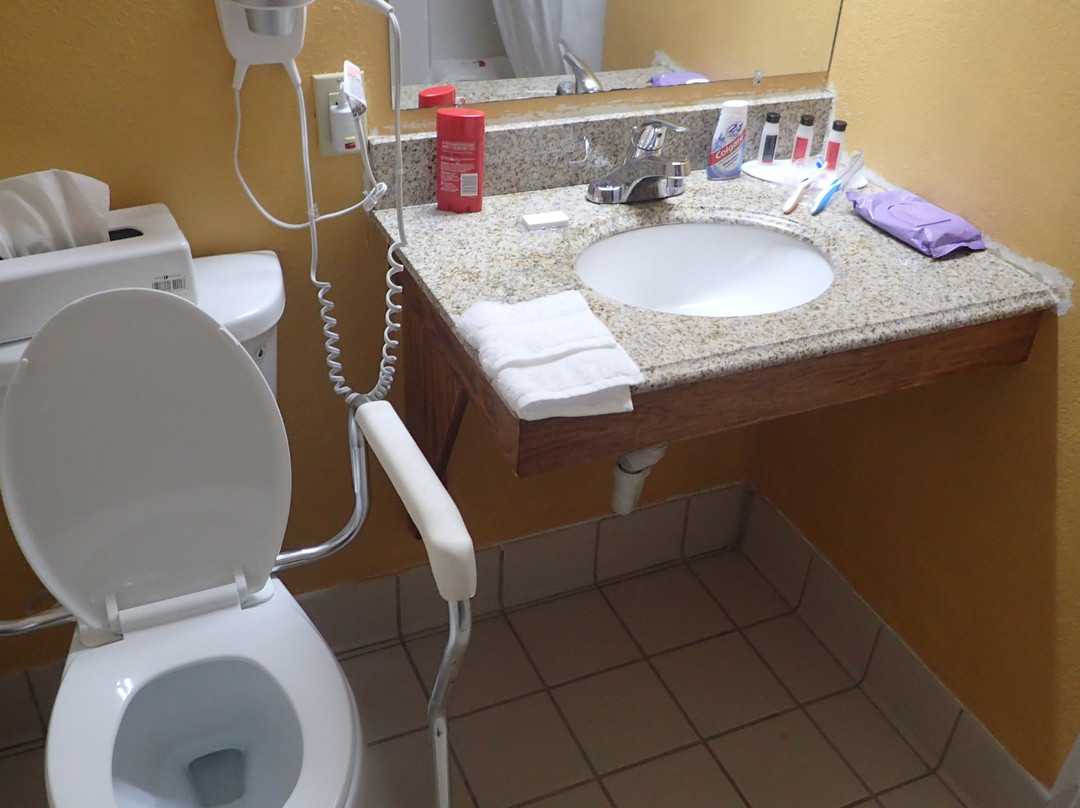 布伦瑞克戴斯酒店主图