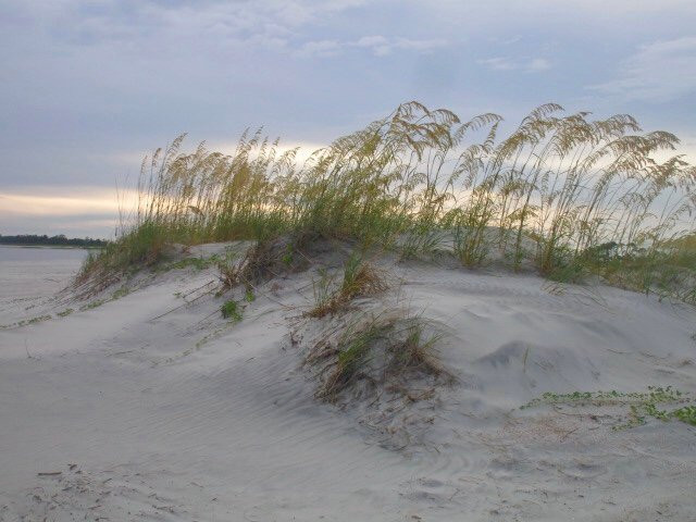 Back River Beach-泰碧岛必去景点