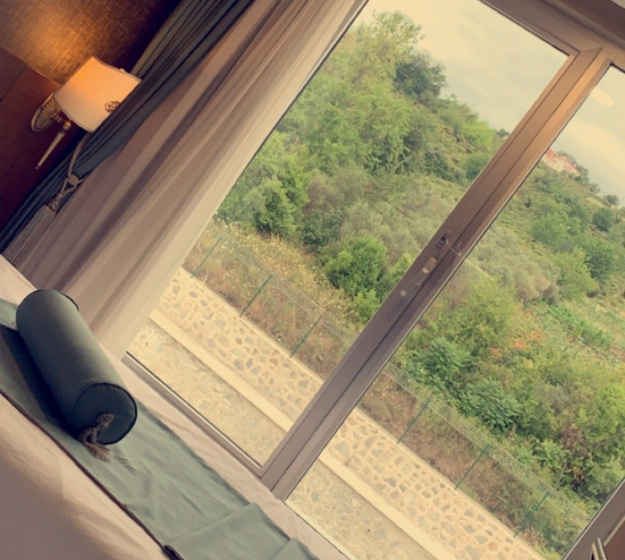 Tilya Resort Hotel主图