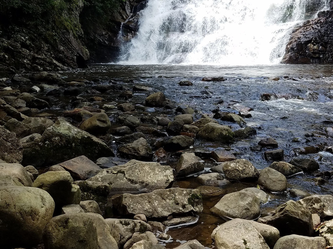 Laurel Fork Falls景点图片