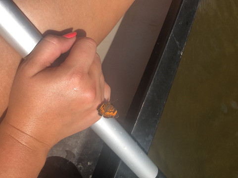 Blue Moon Canoe and Kayak-路易斯维尔必去景点