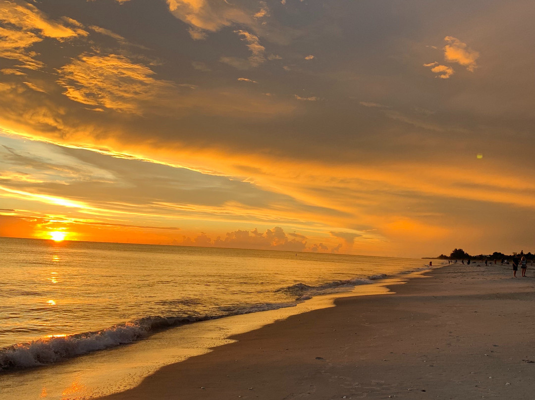 Seafarer Beach Resort主图