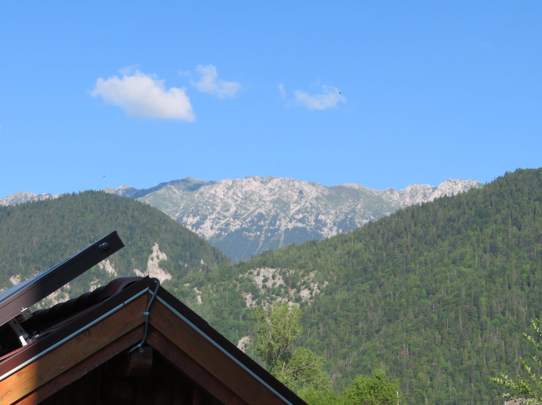 Pension Villa Hermani Magura / Bran主图