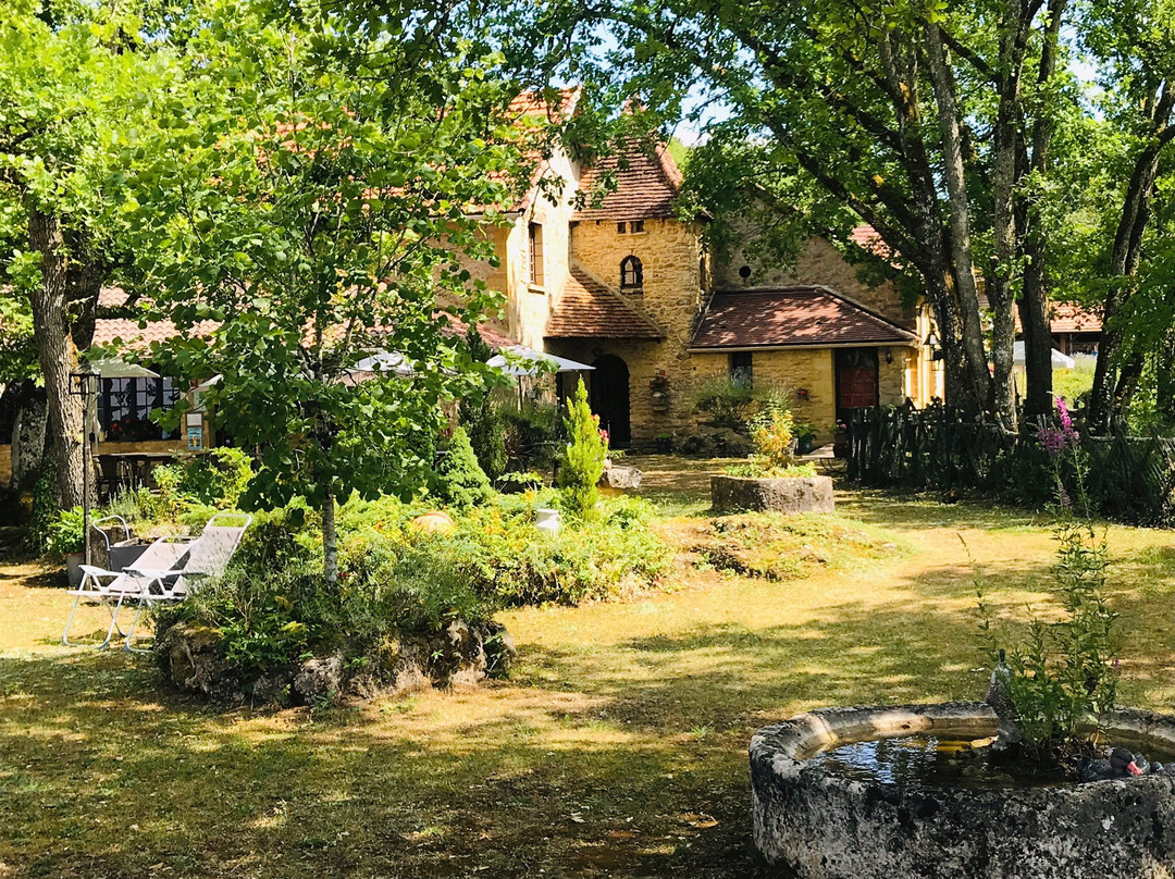 Hotel Auberge de Castel Merle主图