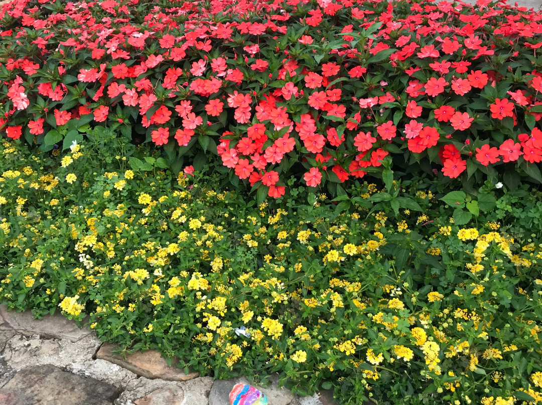 Tramway Mall-盖林柏格必去景点