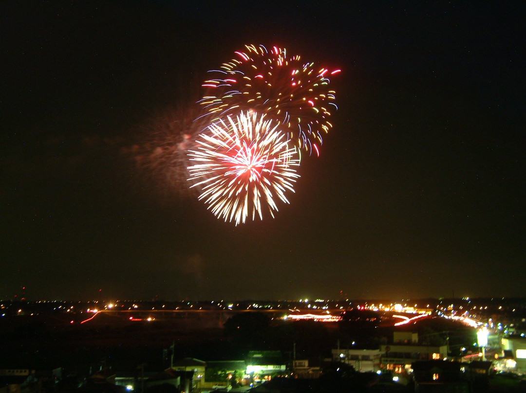 Sekiyado Matsuri-野田市必去景点