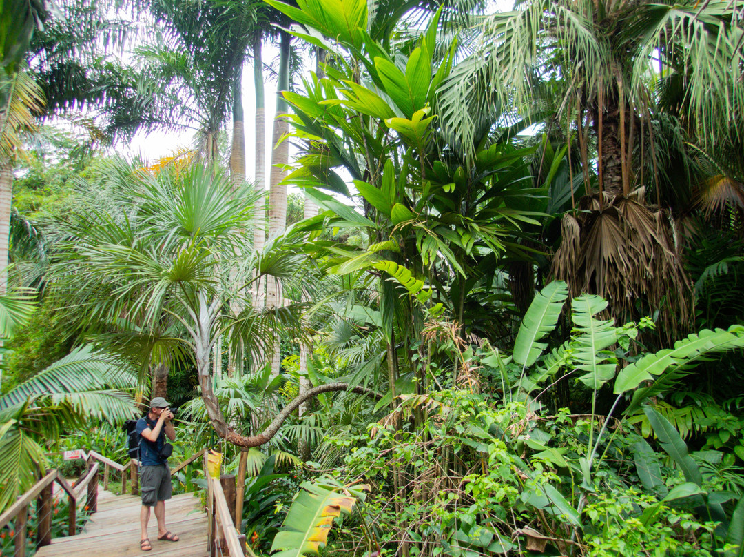 Flora Tropica Gardens-萨武萨武必去景点
