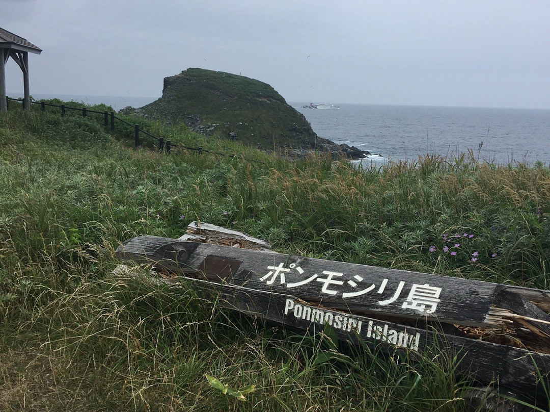 Fujinienchi Park景点图片