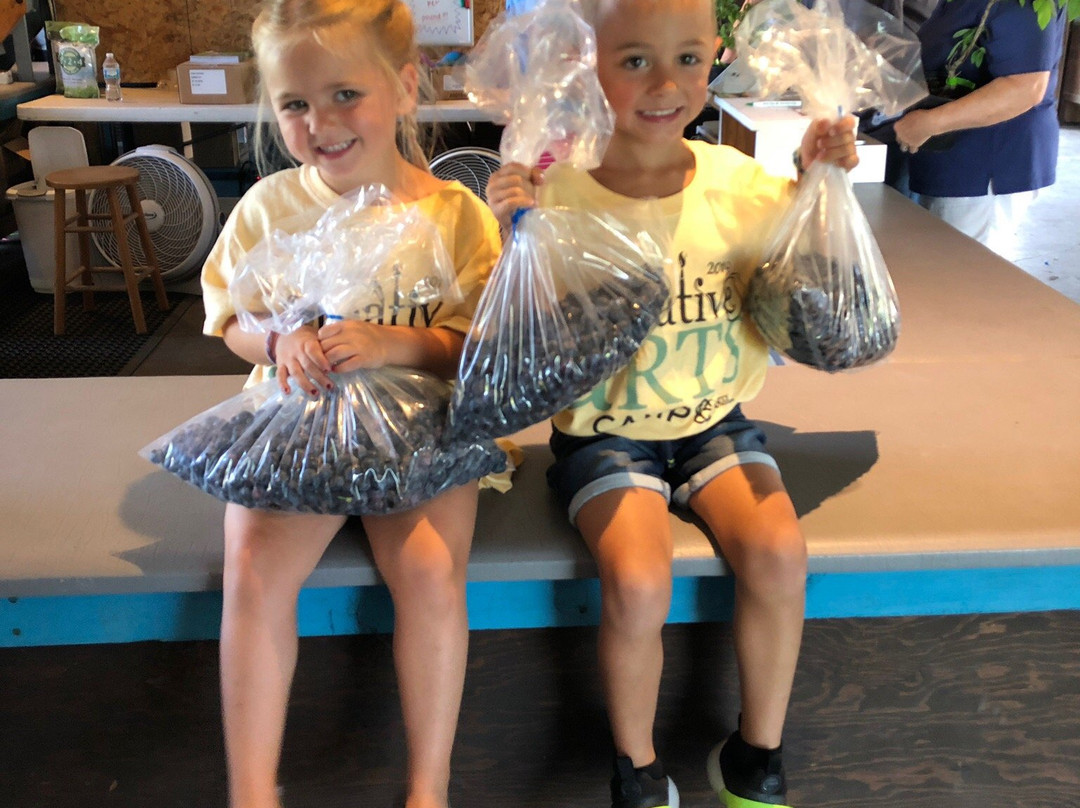 Blueberry Ranch-米沙沃卡必去景点