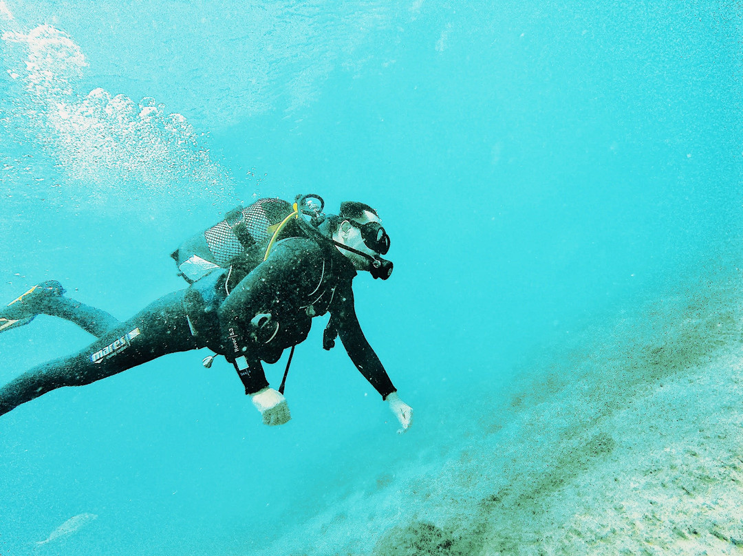 Diving Atlantis Tenerife-洛斯克里斯蒂亚诺斯必去景点