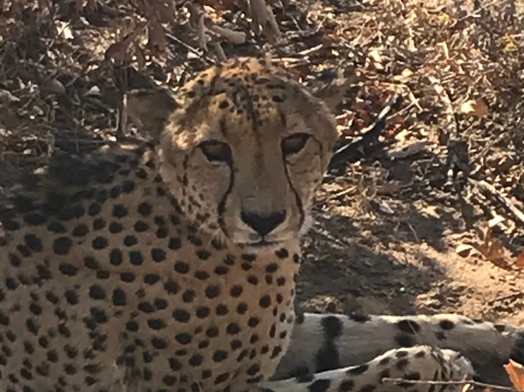 Toro River at Toro River Lodges-霍德斯普鲁特必去景点