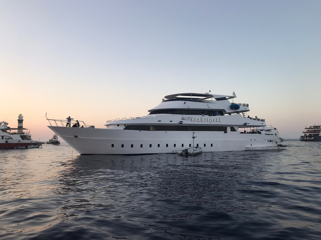 Pro Dive Centre-伊丽莎白港必去景点