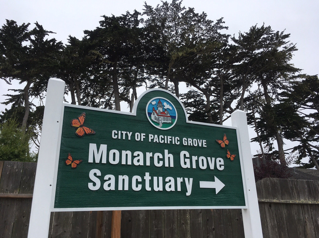 Monarch Grove Sanctuary景点图片