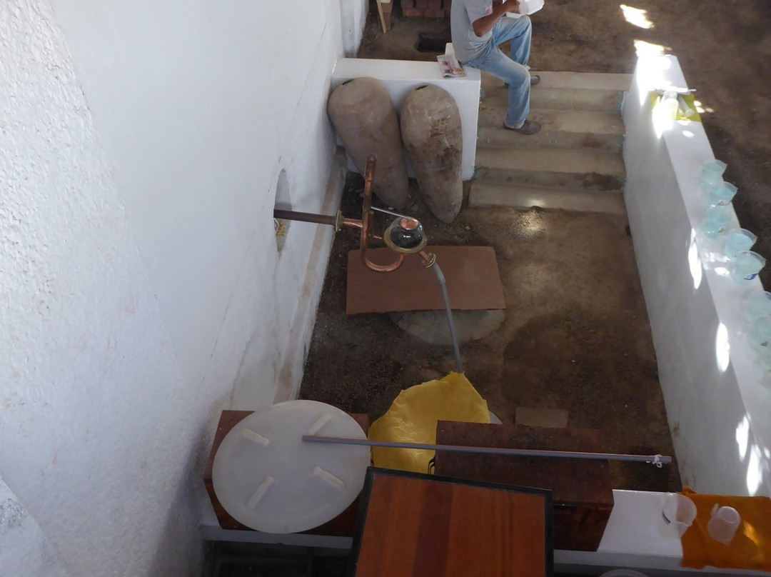 Bodega Tres Generaciones-伊卡必去景点