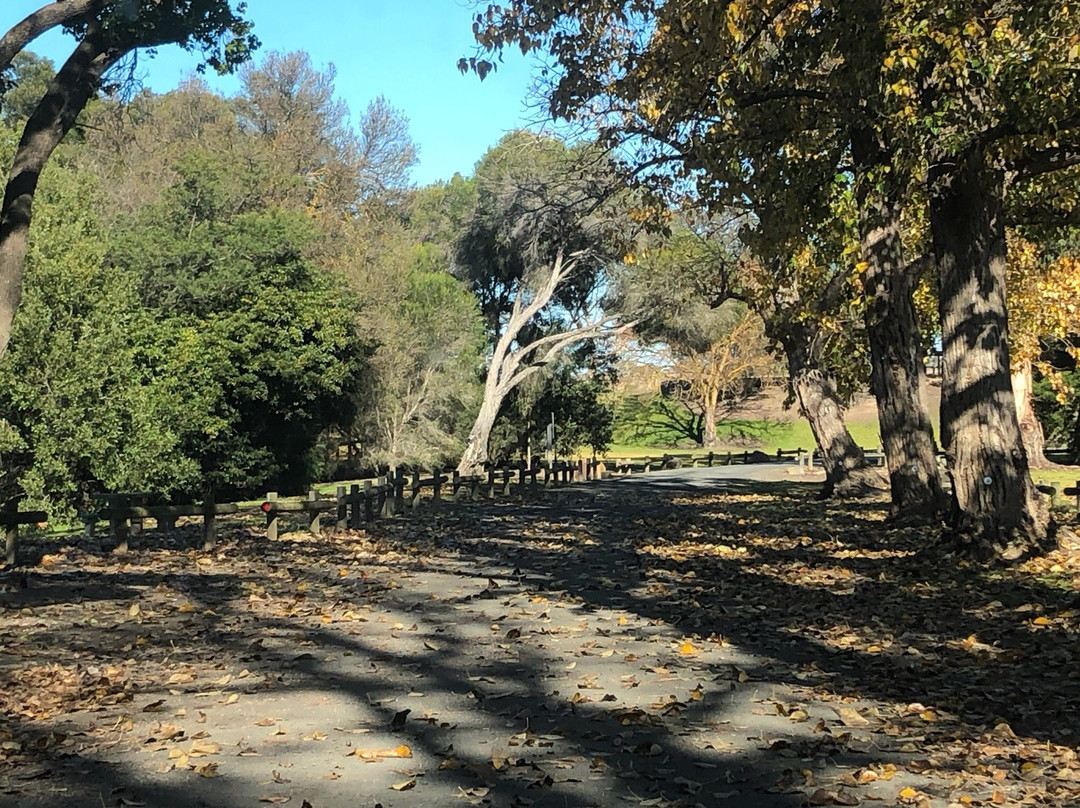 Cowwarr Weir-Cowwarr必去景点