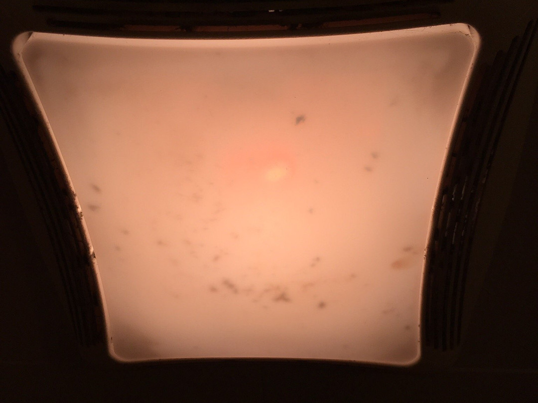 Paintbrush Inn主图