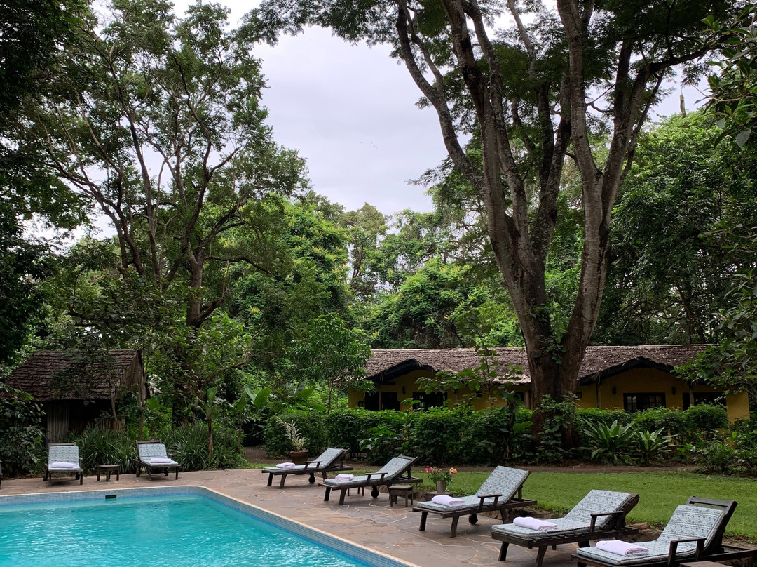 河边树乡村酒店主图