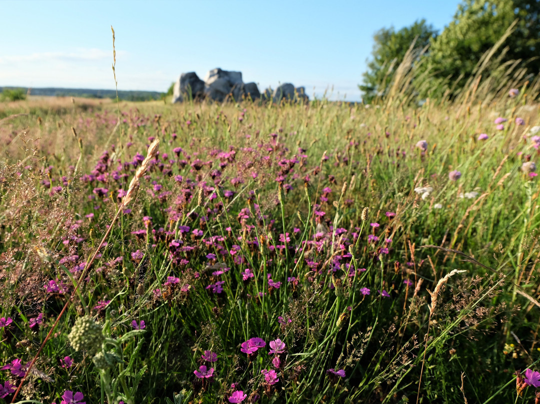 Luebbensteine-Helmstedt必去景点