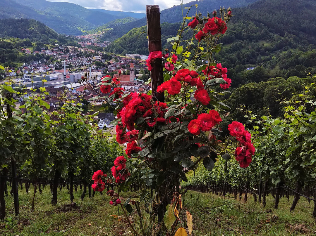 Schloss Eberstein主图