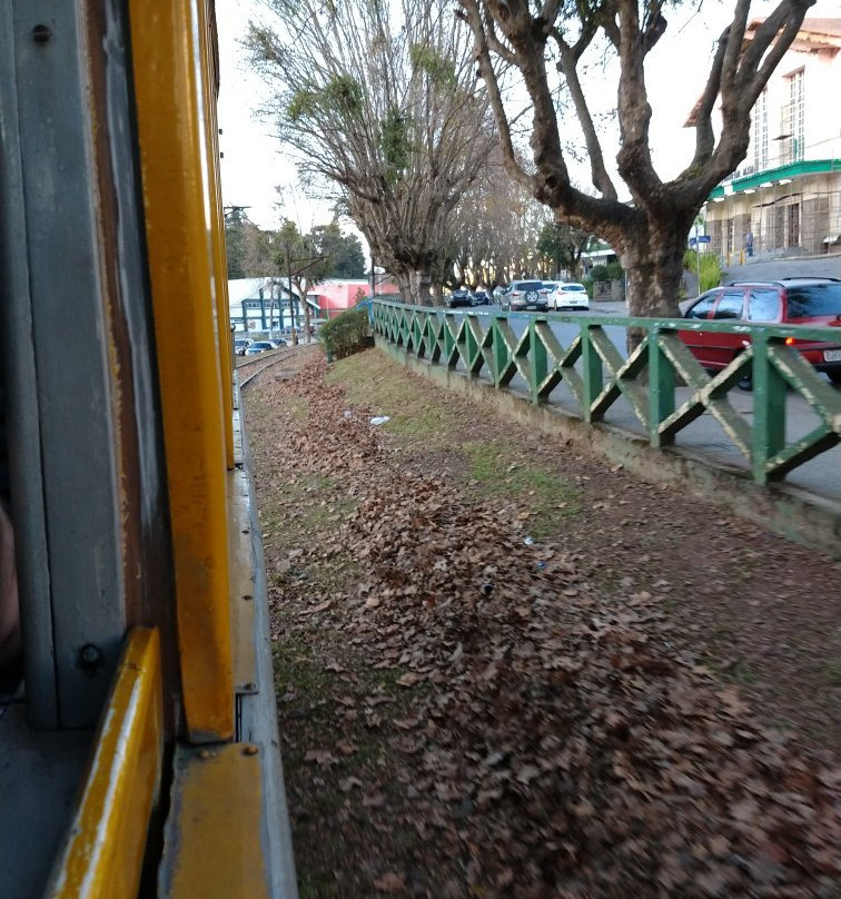 Estacao Emilio Ribas-坎普斯－杜若尔当必去景点