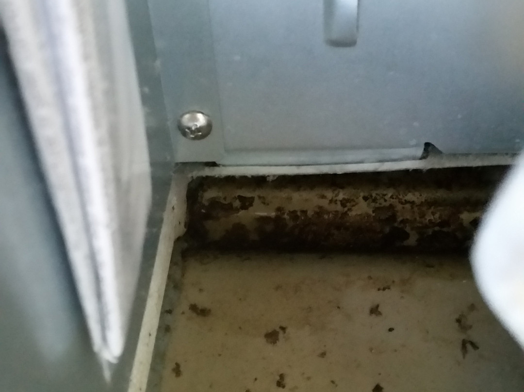 Comfort Suites Near Tanger Outlet Mall主图