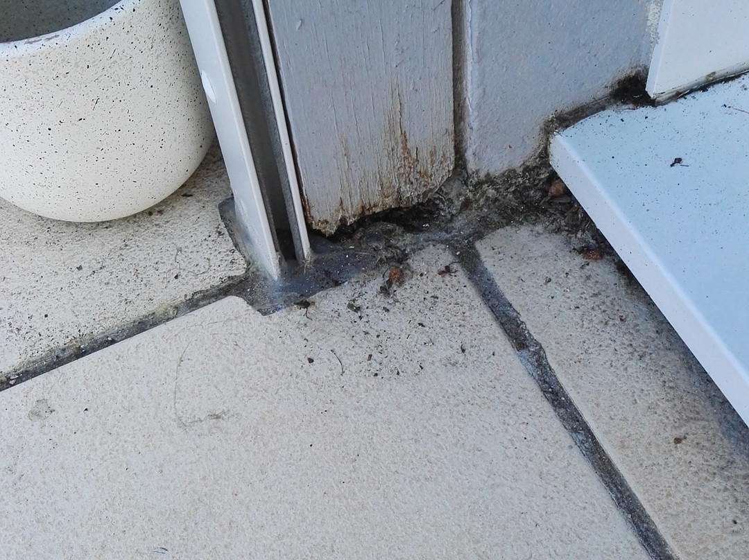 里贾纳酒店主图