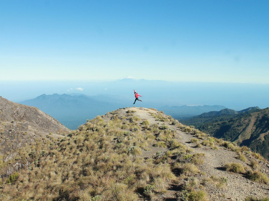 Jungle Boy-Tetebatu必去景点