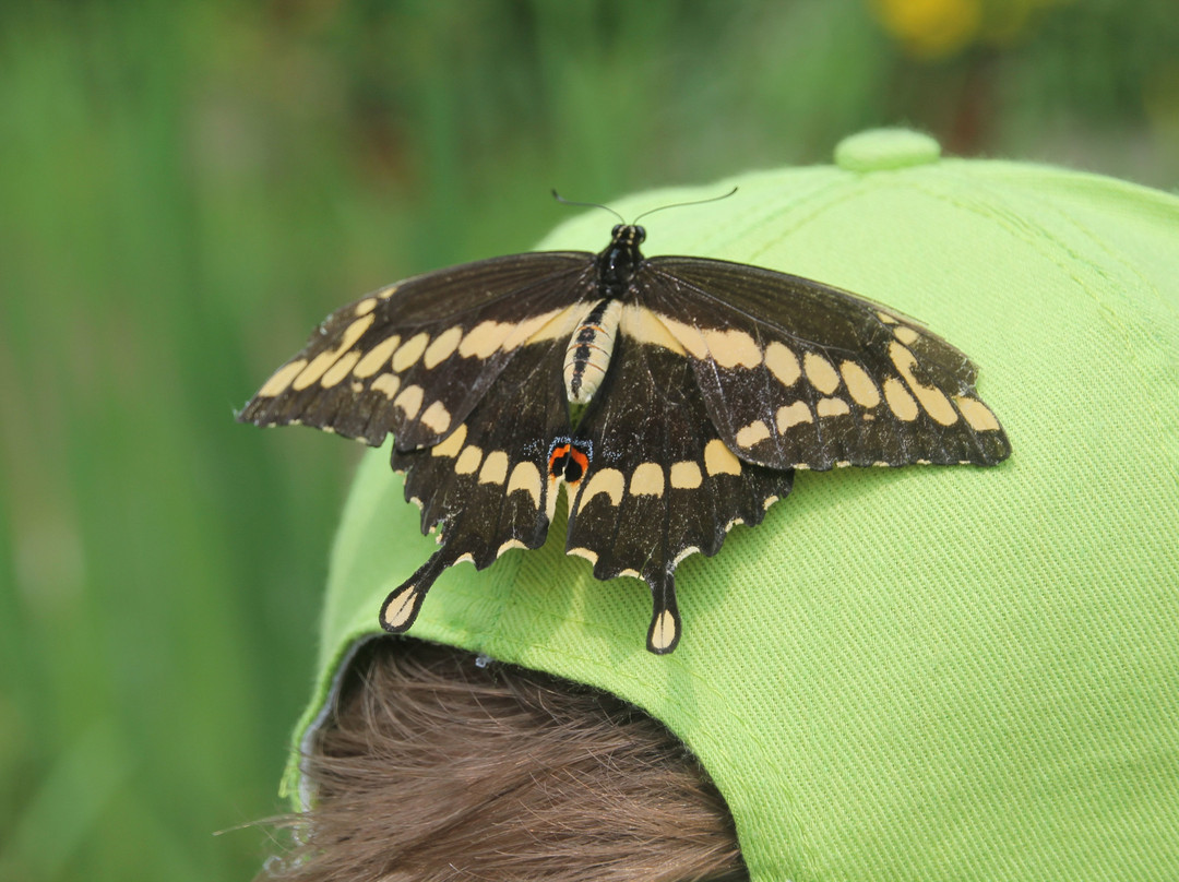 Sarett Nature Center-Benton Harbor必去景点