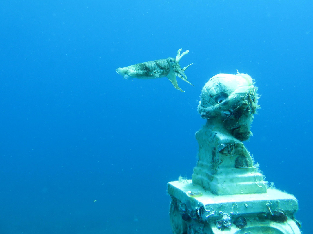 Kerveli Dive Center - Samos-Kerveli必去景点