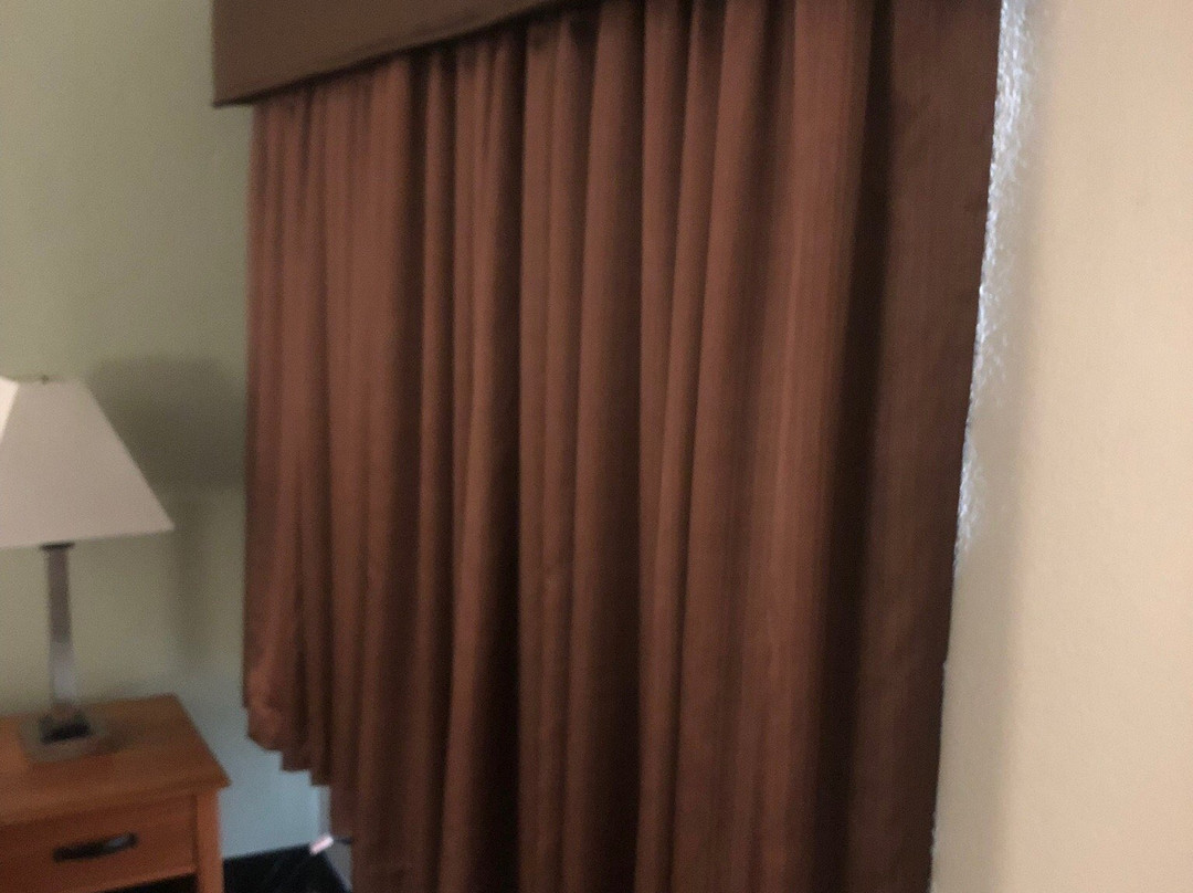 帕尔马尼酒店主图