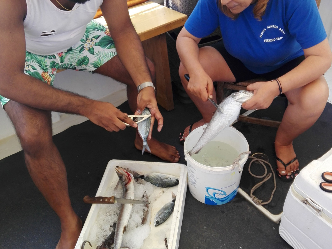 Milos Fishing Trip-Adamas必去景点