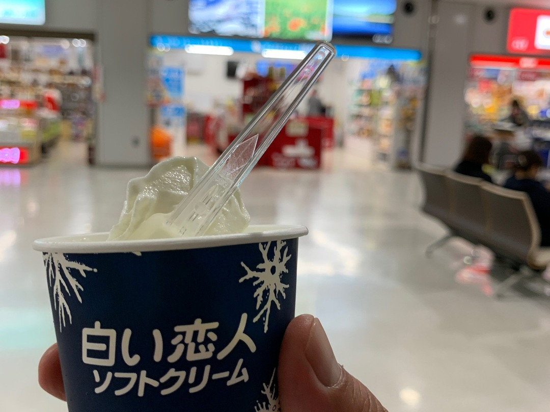 Antenna Shop Honoka Airport-大空町必去景点