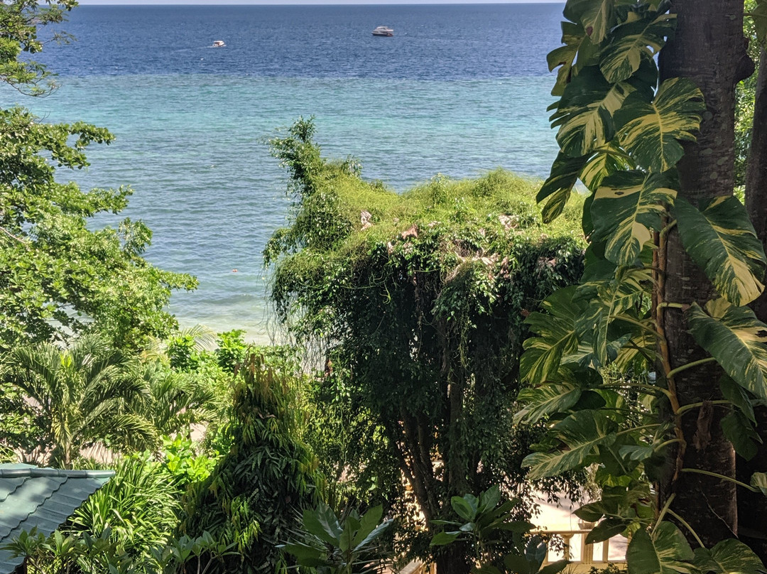 Panorama Diving Resort主图