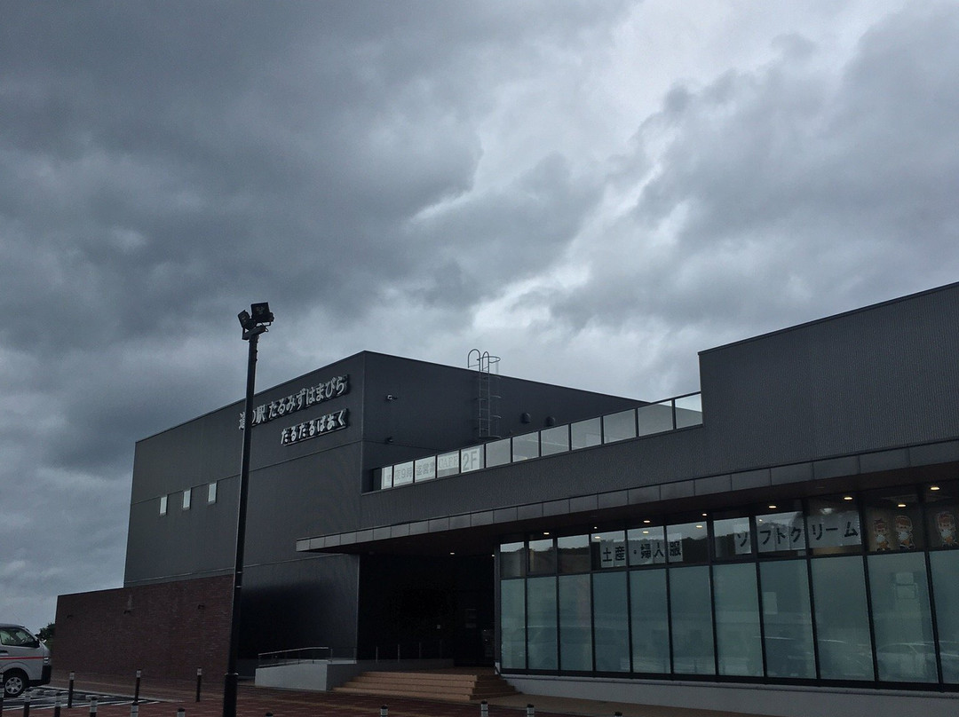 Michi no Eki Tarumizuhamabira-垂水市必去景点