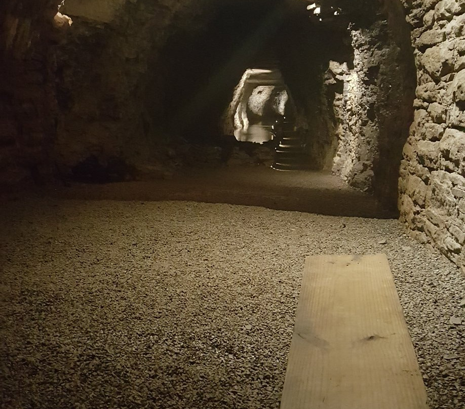 Lockport Cave and Underground Boat Ride景点图片