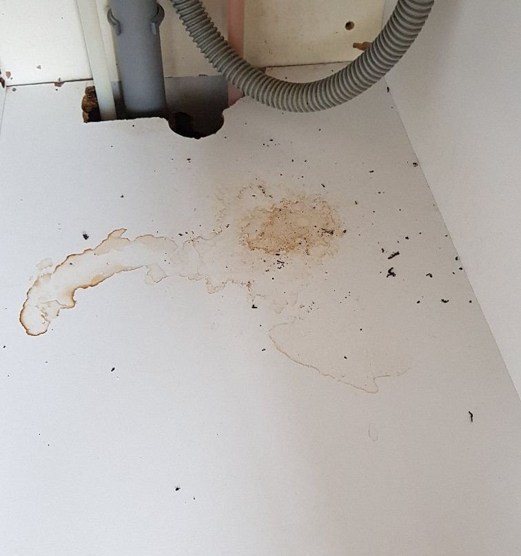 Guesthouse Hafnarnes主图