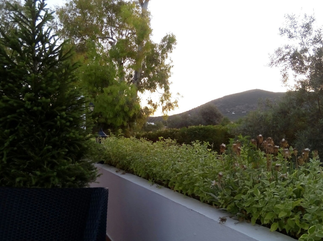 鸽子乡村酒店主图