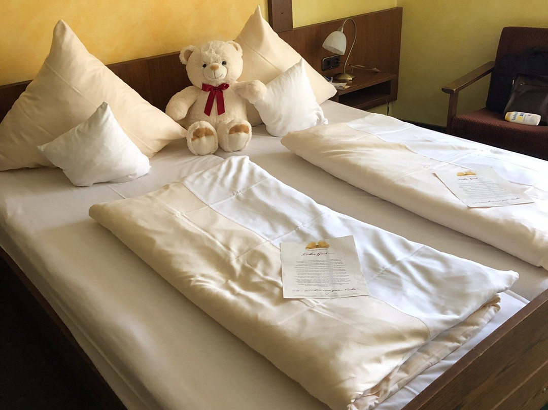 Landhotel Und Weingasthof Schwarzer Adler主图