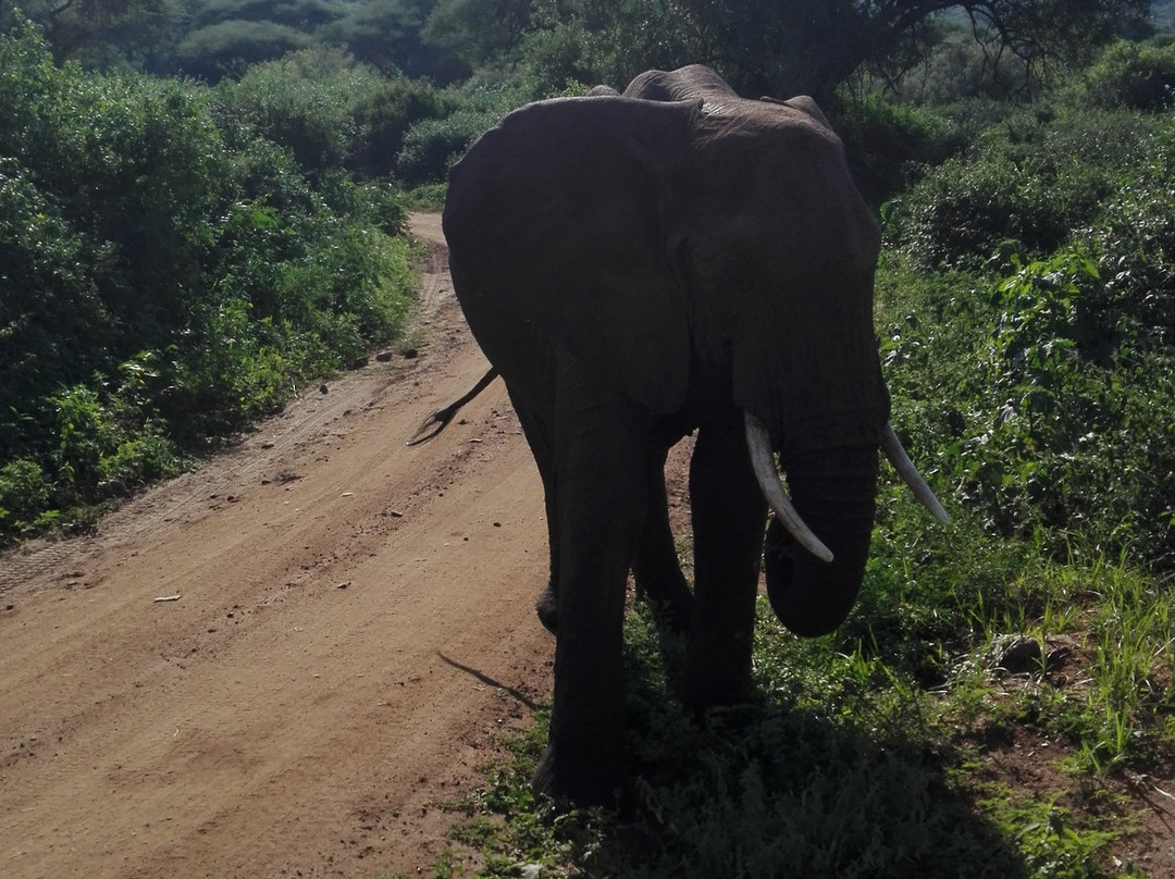 Wild Gaze Safaris Ltd-Iringa必去景点