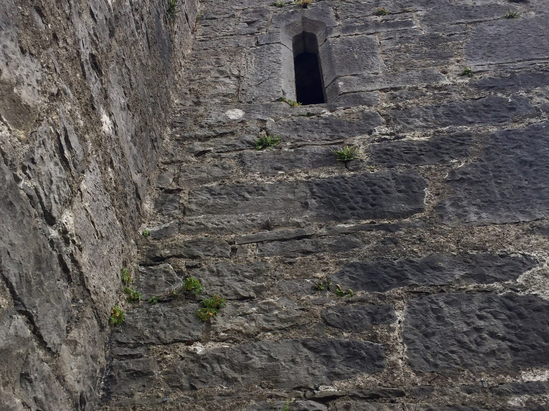 Lombard’s Castle-Buttevant必去景点