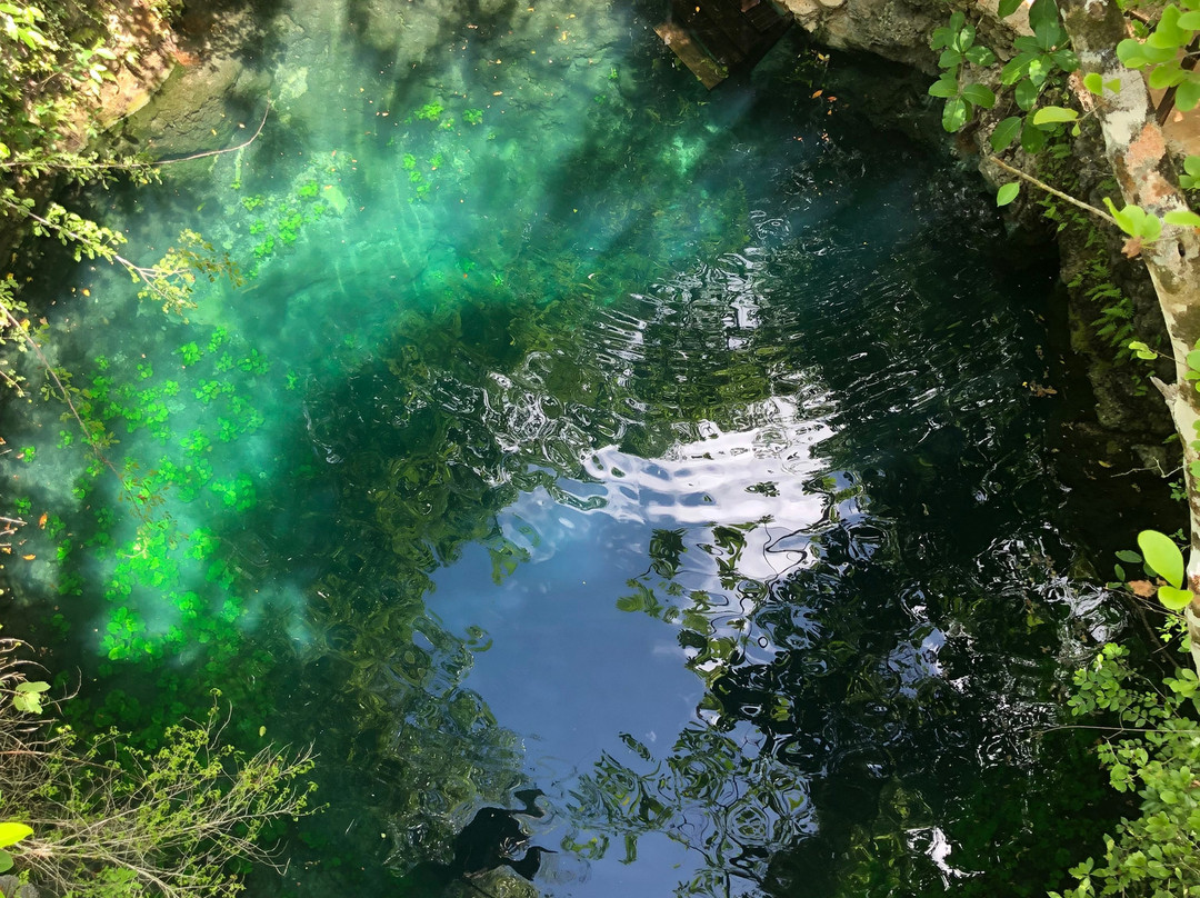 Cenotes Zapote-从莫雷洛斯港必去景点