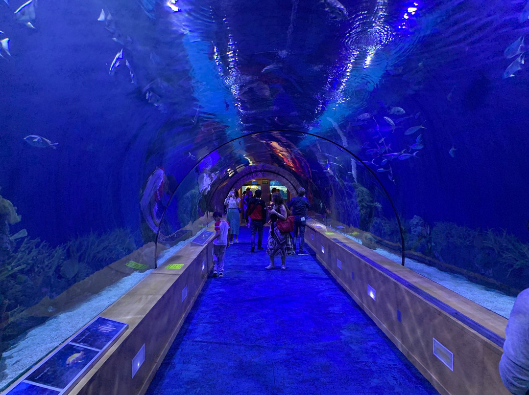 Zoo Aquarium de Valencia-巴伦西亚必去景点