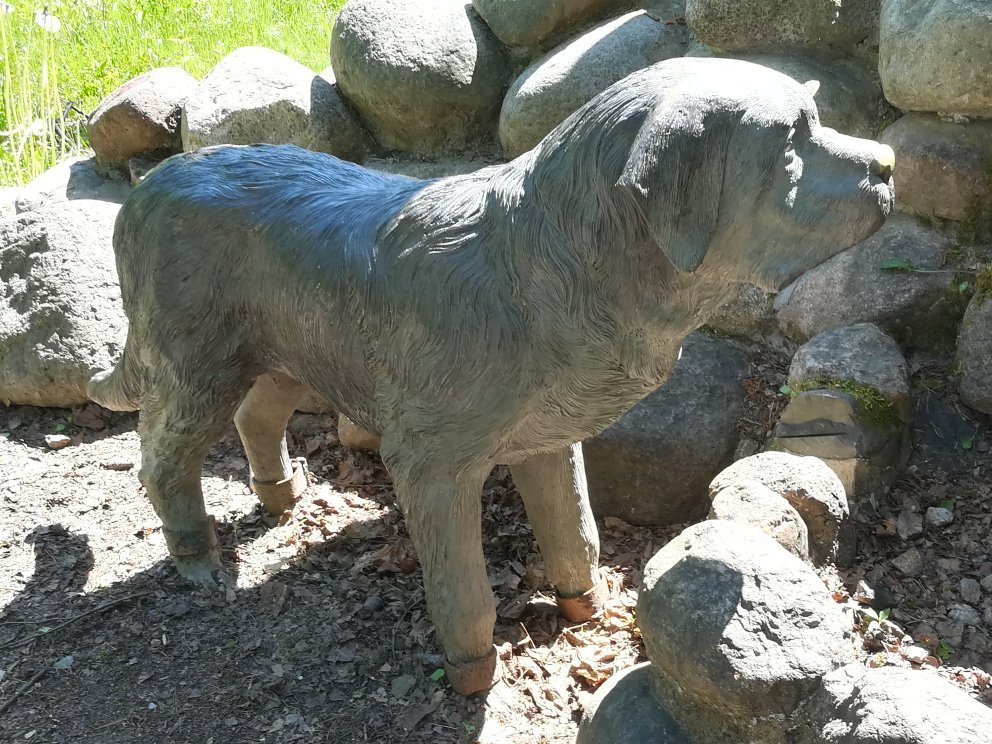 St. Bernard Dog Statue景点图片