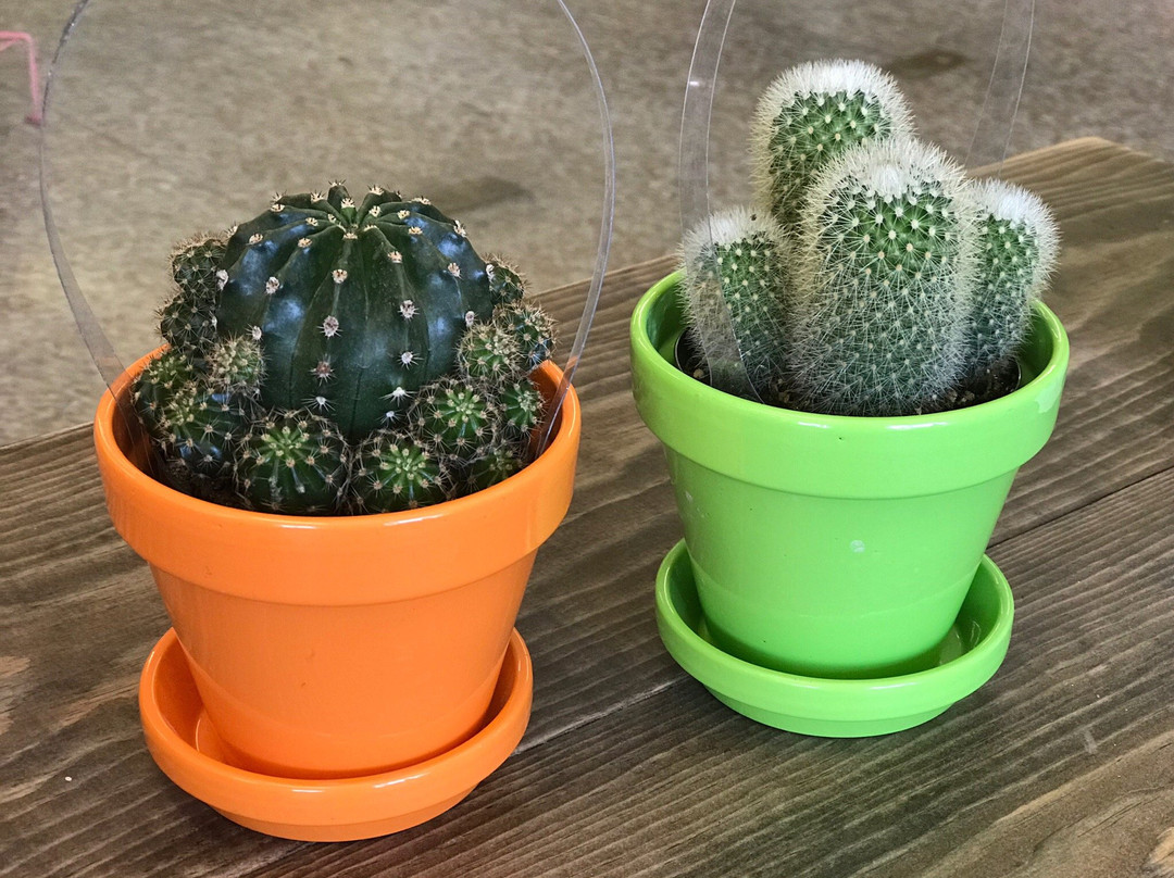 Chestnut Street Mini Mall-Berea必去景点