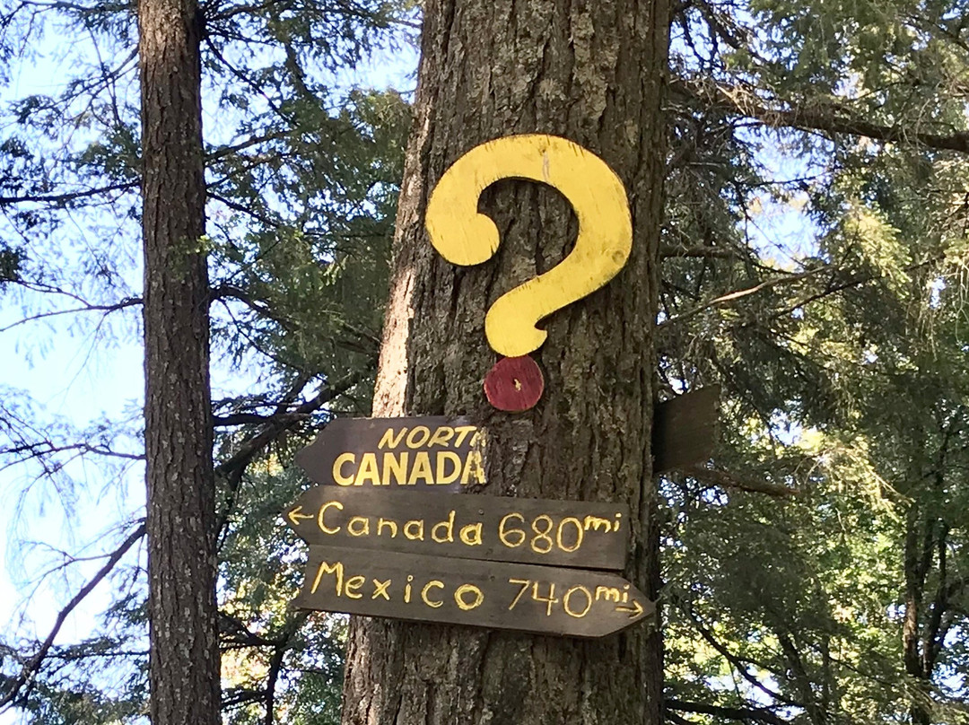 The Mendocino Tree景点图片