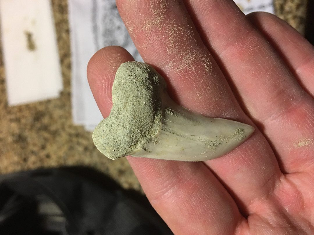 Ernst Quarries-贝克斯菲尔德必去景点