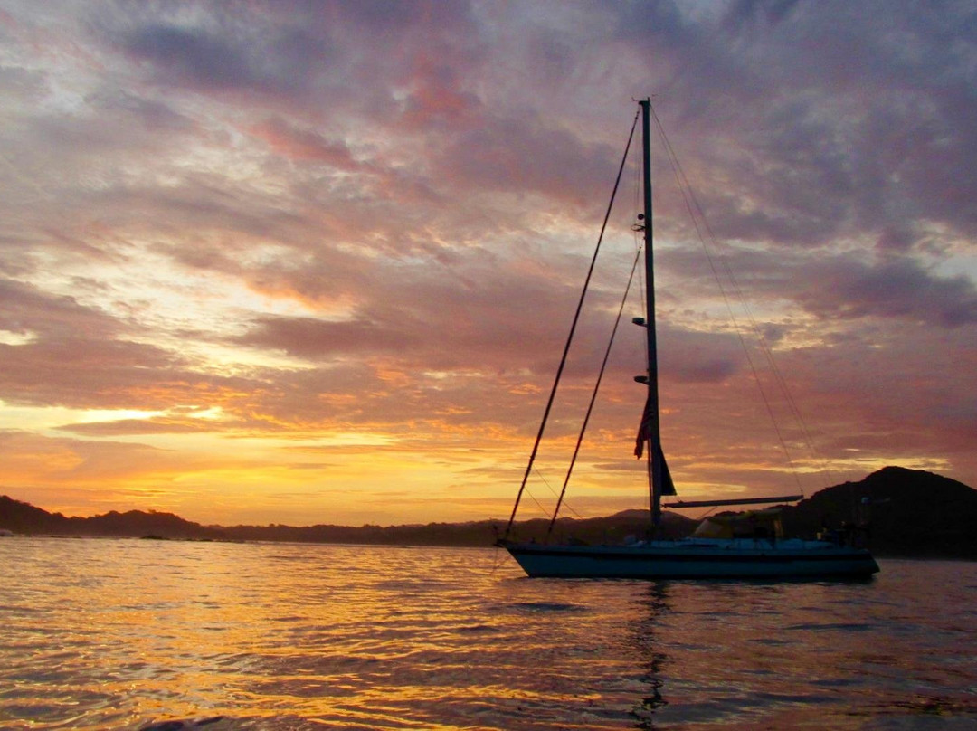 Charlestons Best Sailing Adventures-查尔斯顿必去景点